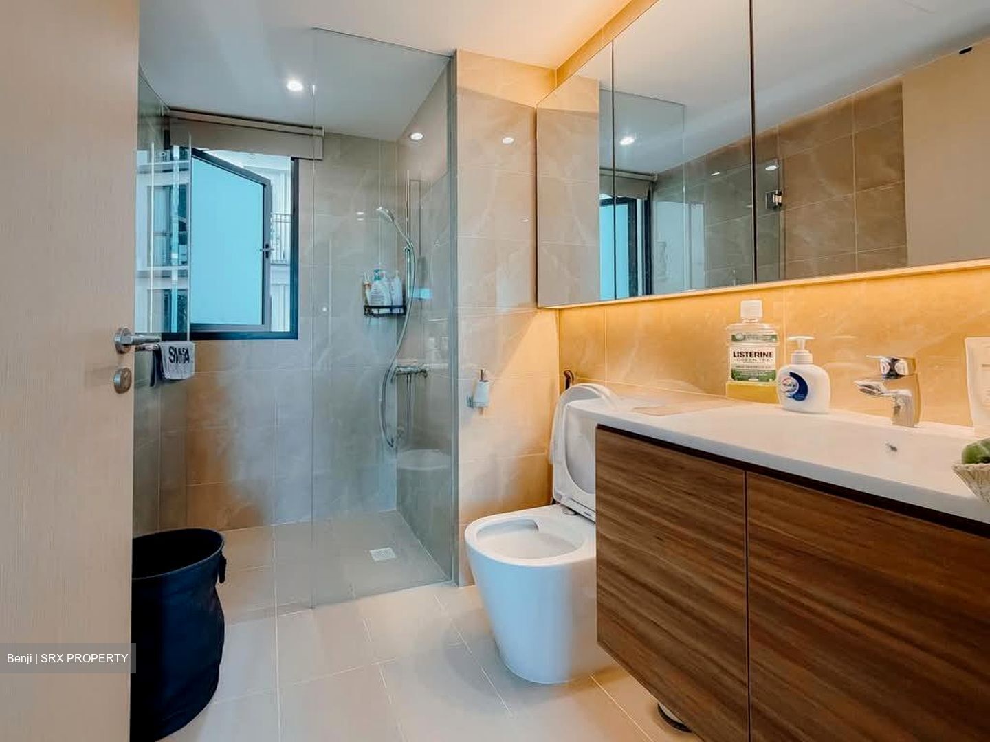 Treasure at Tampines (D18), Condominium #577618521